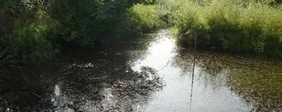 野钓时遇到这样的钓位别错过,这些都是绝佳的钓位!