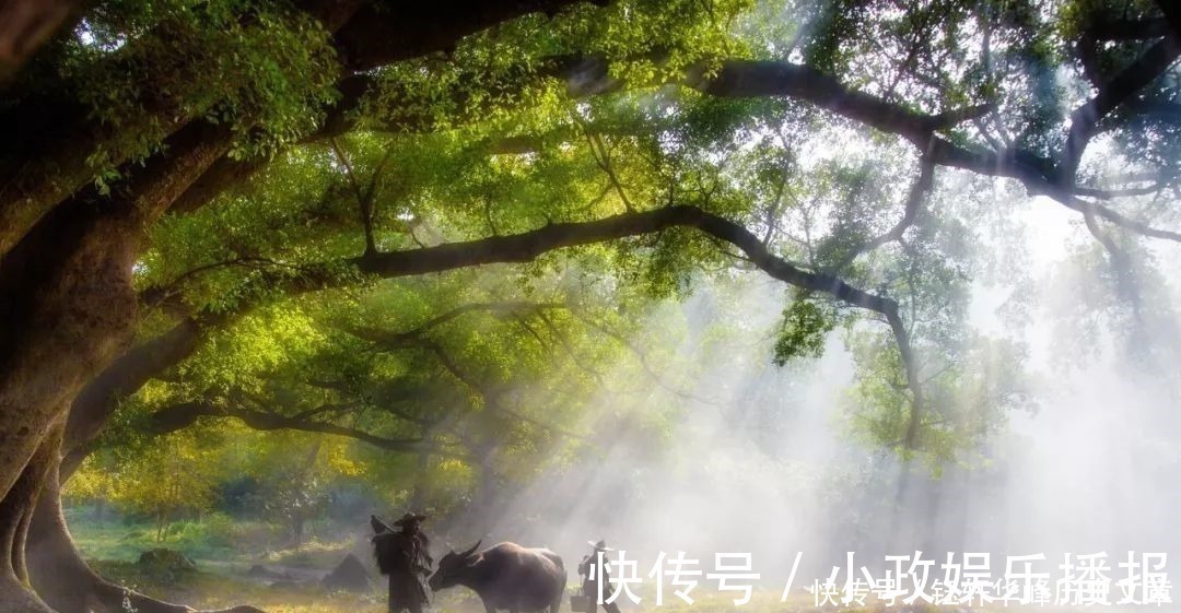 简简吟@宅在家,没事做就读一读这40句古诗词,每一句都是人间绝句