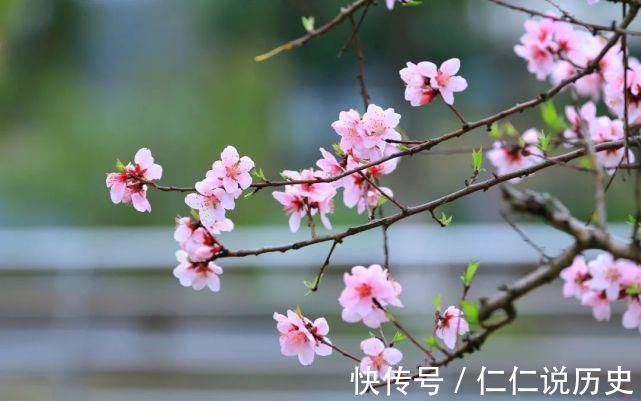 美好的时光!教人知道已春深,十首春深的诗词,去珍惜春天的每一寸时光!