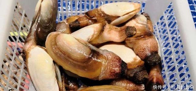 国内最适合吃海鲜的4座城市,很少有人知道,新鲜肥美游客还少