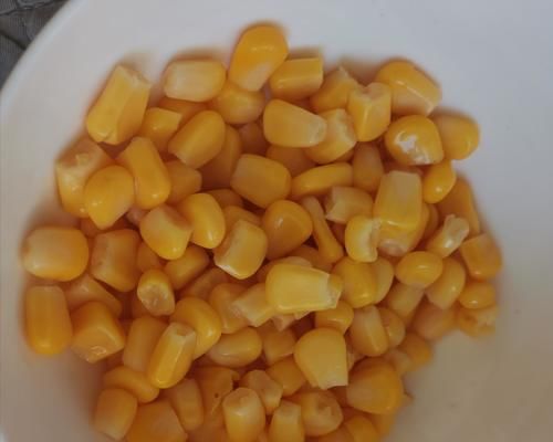 香梨和玉米粒做的披萨—9寸大小厚饼