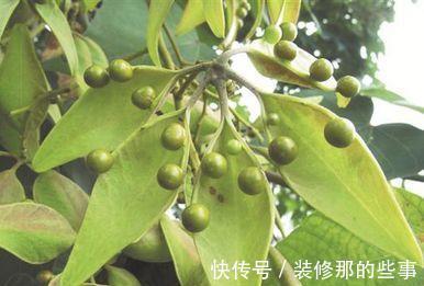 美白|女性不想老太快,常吃3种食物,改善气色、淡化皱纹、美白护肤