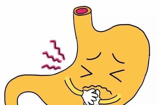 食物|养胃冠军已公布,不是小米粥,经常吃,灭幽门螺杆菌,胃或更舒坦