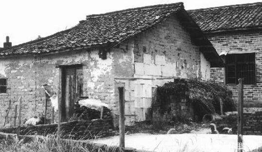 16岁出嫁,替情敌抚养孩子,一生孤苦却说:从未想过他会爱上我