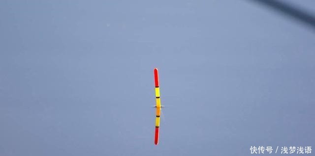 钓鱼人|钓鱼人的最爱黑漂和顶漂,二者有什么不同鱼情和漂相要把握好