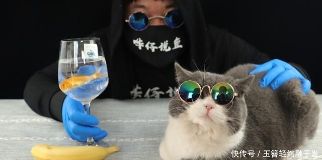 初恋|锦鲤虐我千百遍,我待锦鲤如初恋,养锦鲤是个坑,而且大坑套小坑