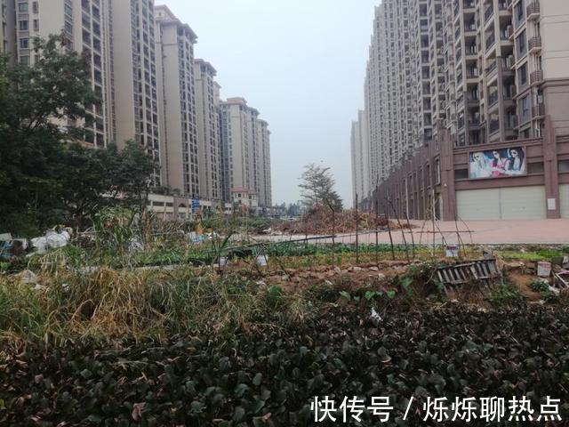 土地使用权|中山市一家软件开发企业被吊销 已查封的住宅用地对外拍卖