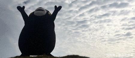 殖民地|17世纪西方文明的使者——穿行在北美蛮荒之地的毛皮自由交易者