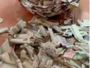 隐私|妈妈趁女儿上学不在家，偷偷砸开了闺女存钱罐，那场面太壮观