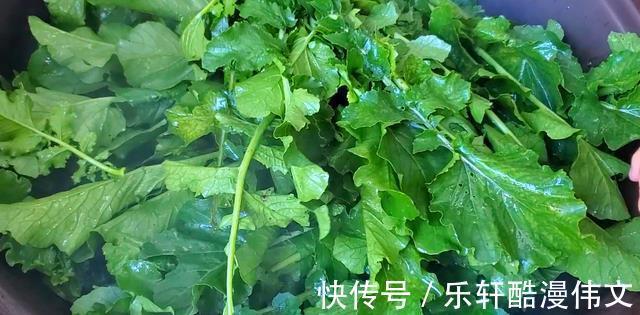 立冬以后，遇见这菜抓紧吃，营养极高，做窝窝头比馒头包子还好吃