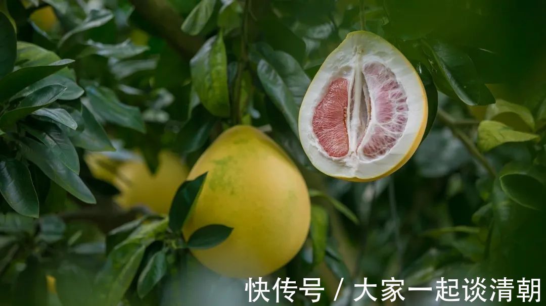 地筋|十女九郁！4个穴位，疏肝解郁行气通络，让你的心情如花儿般美丽