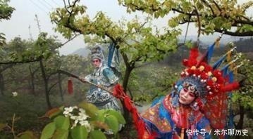 趣味|10个趣味冷知识！蚯蚓为什么能穿透很硬的土