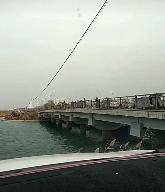 城里的钓鱼人有多疯狂,桥上排水孔里钓鱼,最多一天钓5斤