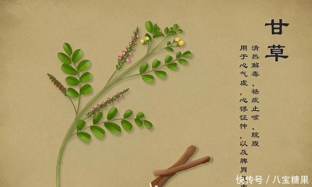 免疫力 人體健康的強健盾牌