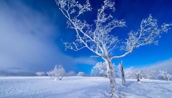 明末|明末小冰期,一系列自然灾害爆发的起点,吹响明亡的号角