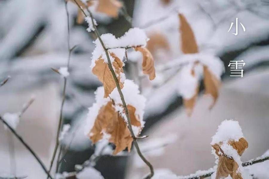 天之气！小雪节气到！下雪的日子你会想起谁？