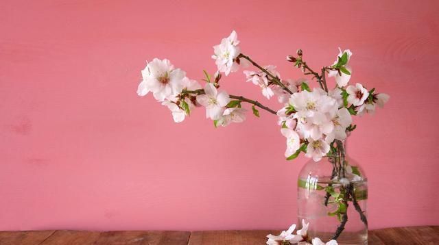 高僧回答|4首禅诗,既简单又不简单,人生的智慧都在这里了