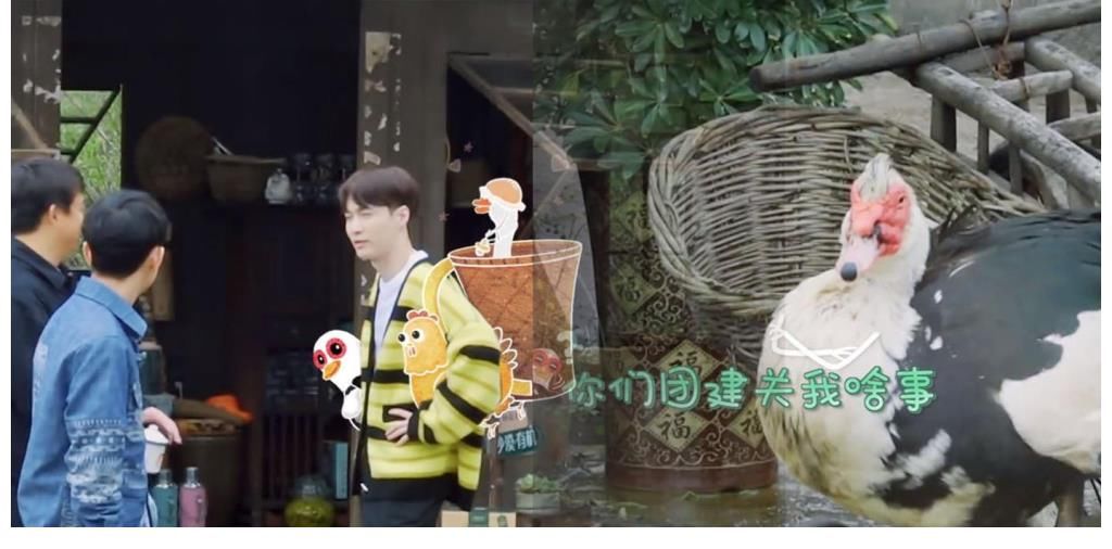 彩灯|黄磊张艺兴联合欺负彩灯,上去就是一个脑瓜崩,张艺兴犯怂往后缩