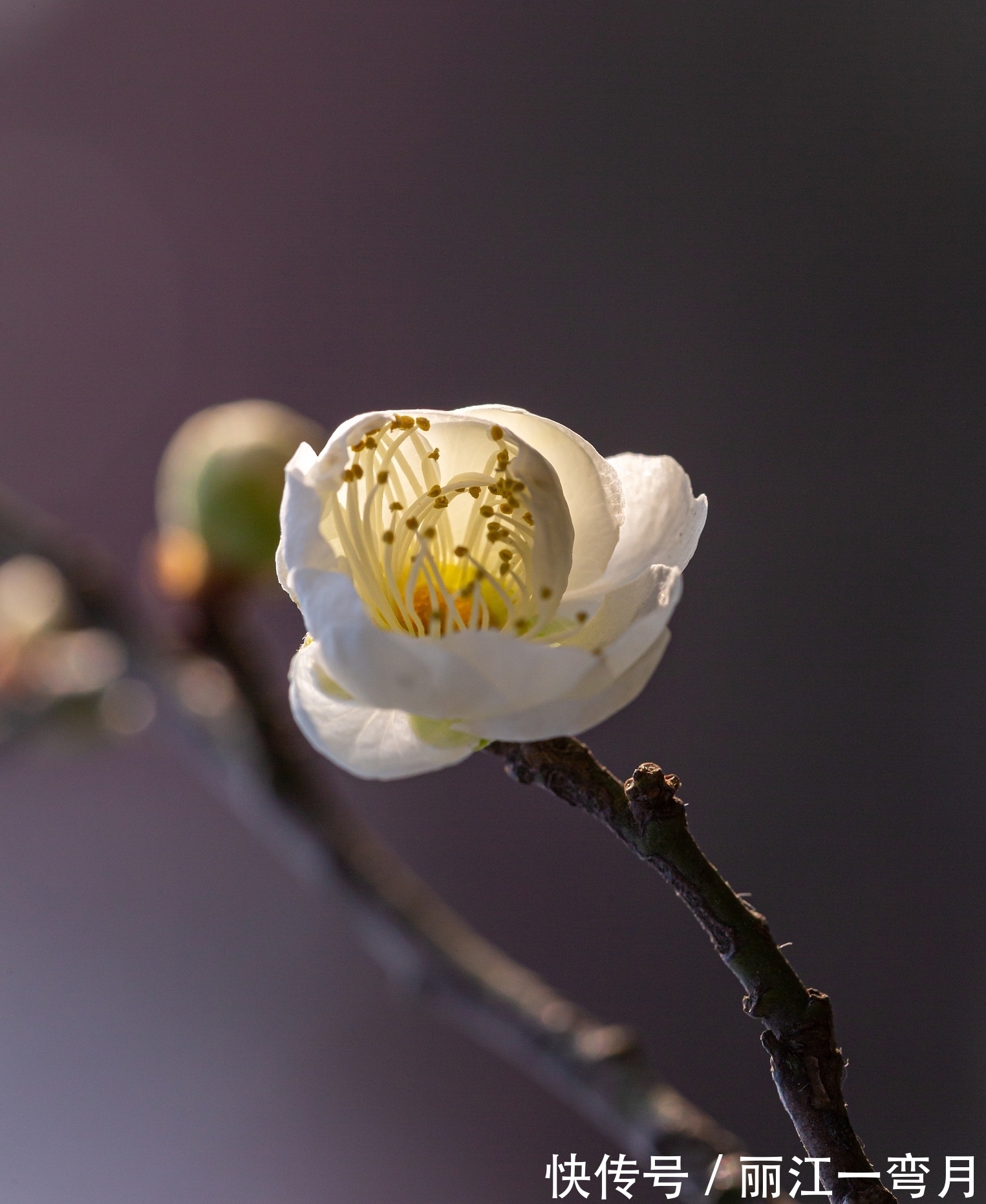 王国维@岁月不堪数,故人不知处,最是人间留不住