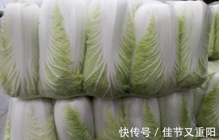 大白菜|白菜虽好,但要记住“三不吃”,记得早点告诉家里人