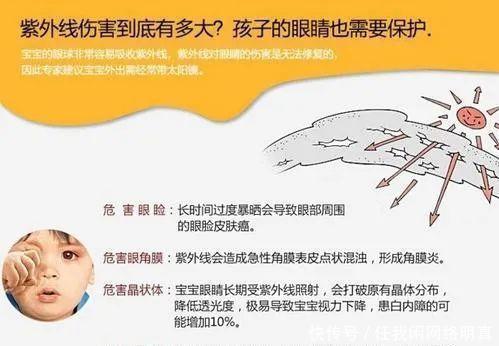 再揭量子真相薛定谔的猫，到底在说什么