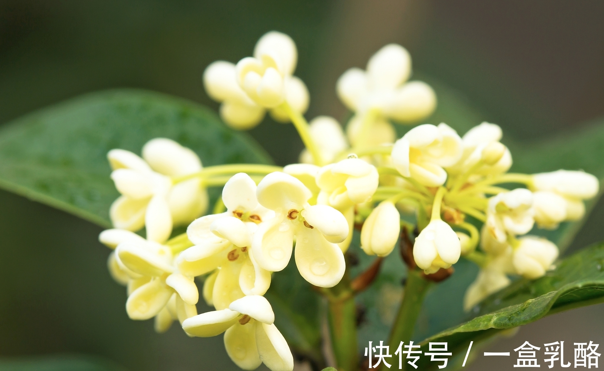 秋思&原创五绝26首