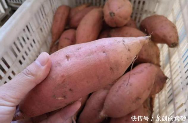 不烂不|保存红薯小技巧,学会1招,红薯放半年不烂不长芽,越放越甜