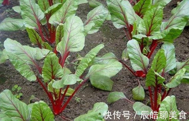 淤血|女人来大姨妈期间，多吃5种食物，有效帮你排淤血，滋养卵巢