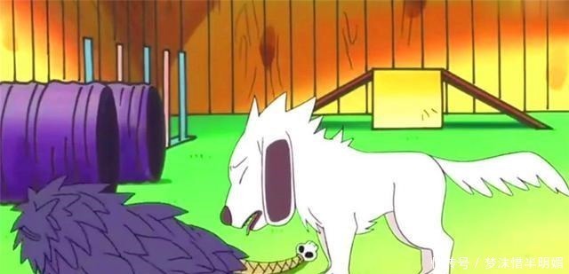 鲛肌|火影忍者忍刀七人众有四代,鲛肌却有过5个主人,还曾沦为剑鞘