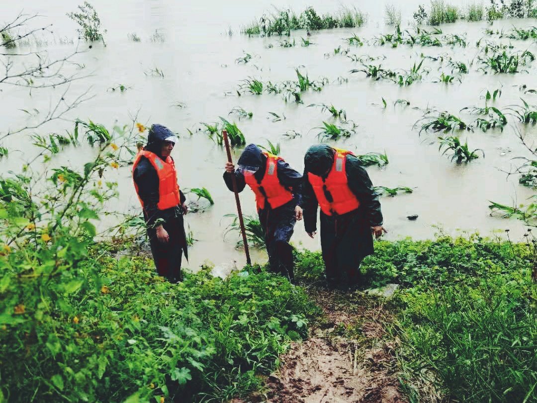 防汛|暴雨中，审计人在守护