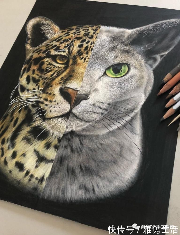 音海#超拟真动物画,每根毛发都这么细致,网友惊呼真假分不清