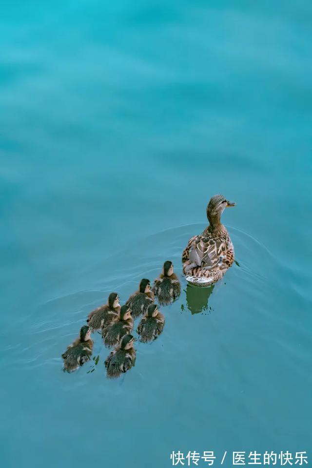 |「被窝段子20210727」生活没有低谷,只有蓄势待发