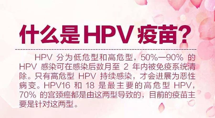 新冠疫苗|育龄女性HPV疫苗知多少，HPV疫苗和新冠疫苗有冲突吗？