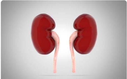 病因|慢性肾炎不能拖，身体若出现这几个征兆，建议尽快检查就医