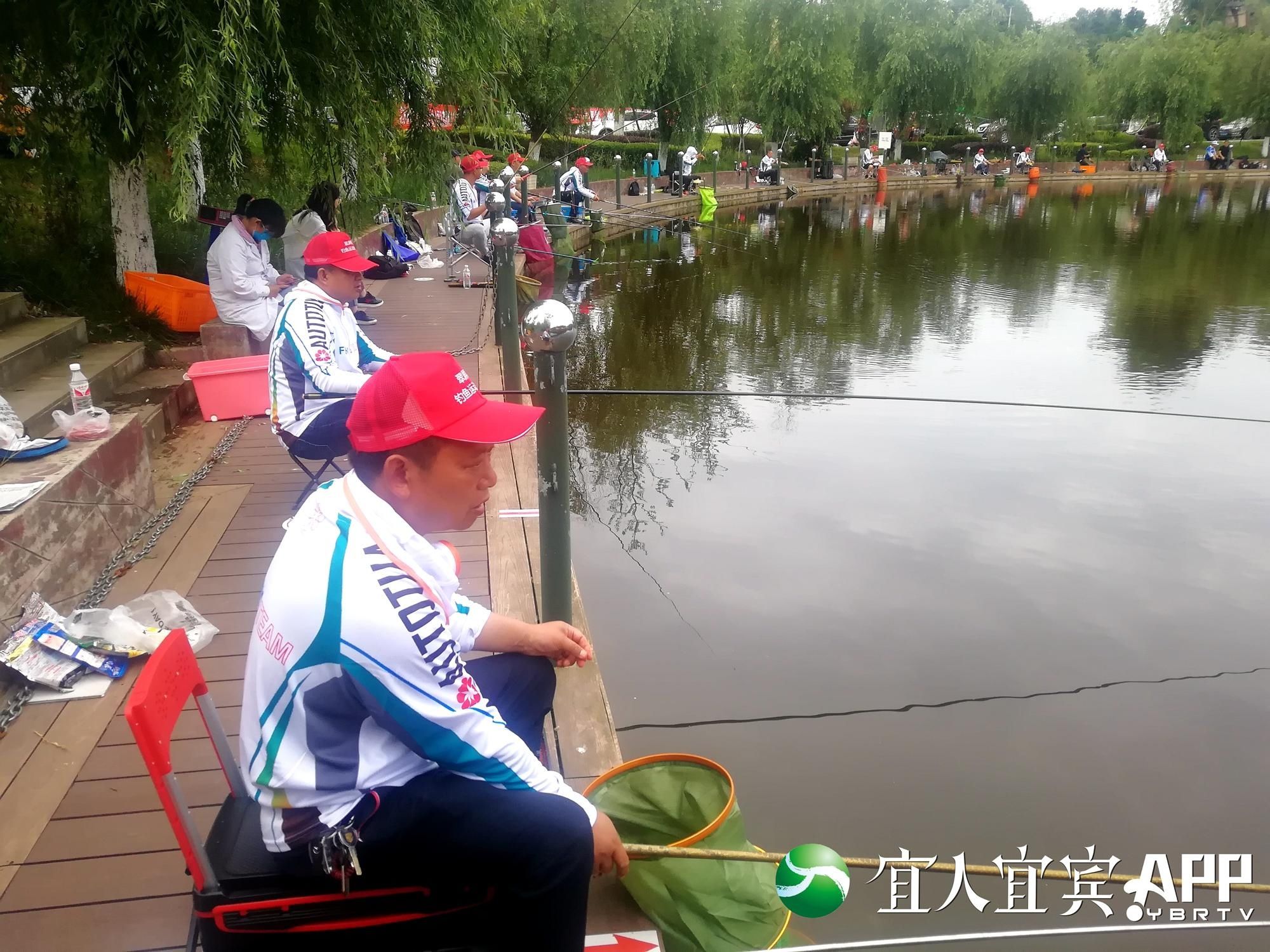 翠屏区|今天，橘香小镇80名爱好者在干同一件事……