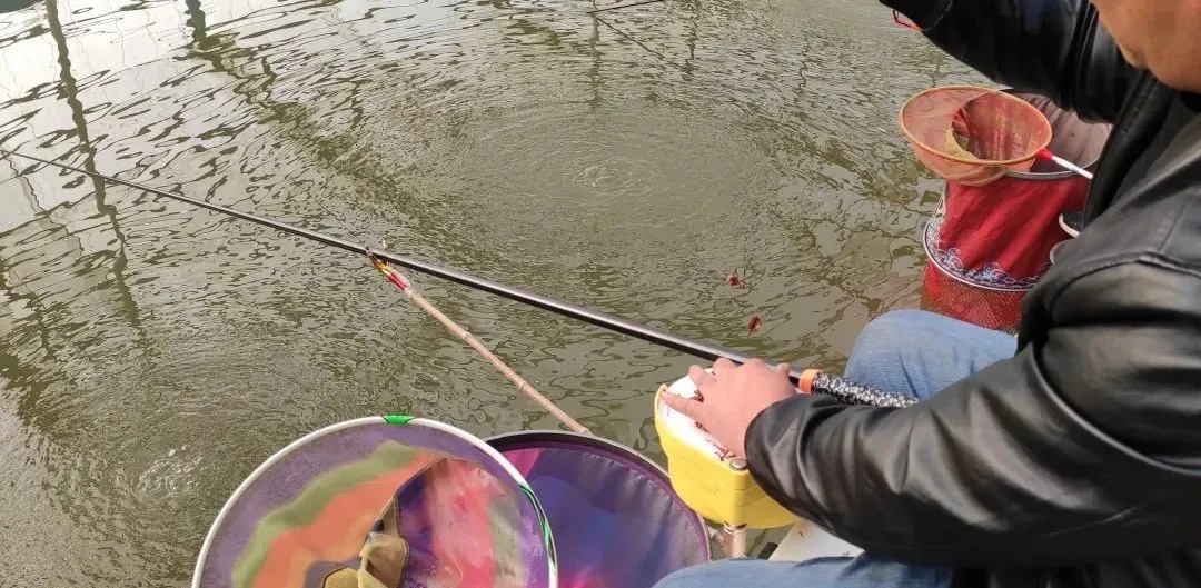 钓鱼|红虫钓鱼真的不简单,正确使用才连竿上鱼,方法错误就空军