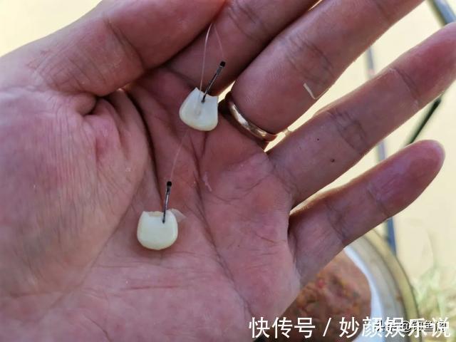 挂法|玉米如何挂钩命中率更高?挂钩方法并不重要,鱼钩才是重点