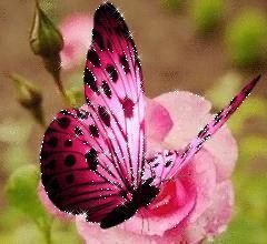 人心&良言20句,见证人心,看透人性看一次胜读十年书