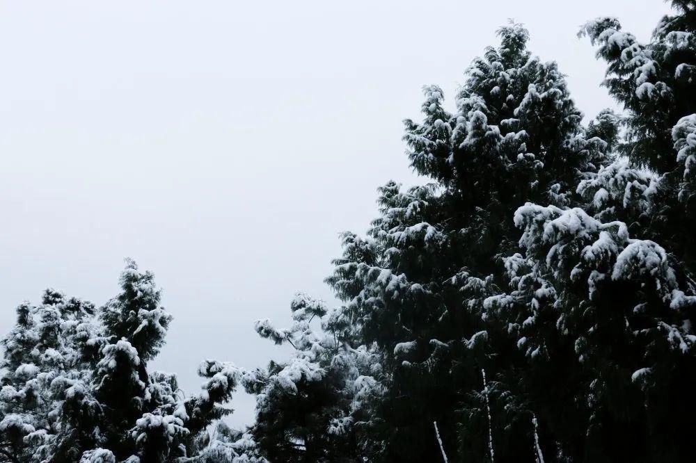 秘密|这个秘密只告诉你，刷爆朋友圈的广元雪景，都在这里了！