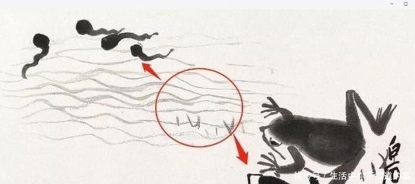 齐白石|齐白石画蝌蚪为何可以出名 放大“3.14倍”后, 发现了4维空间！