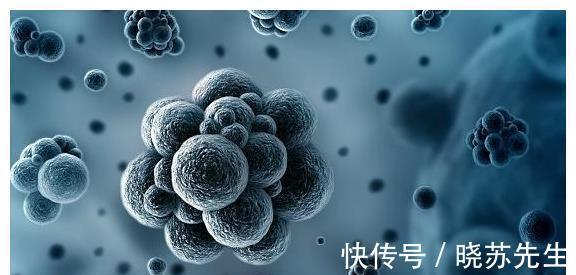 巨细胞病毒|孕妈若感染过这5种病毒,容易导致胎儿畸形,第3种你或许也患过