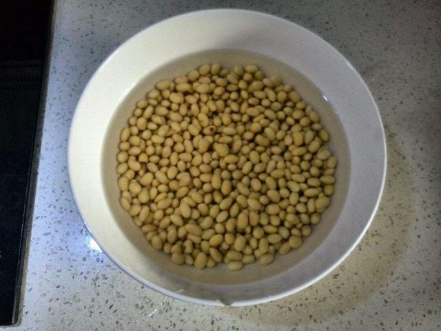 君子兰长得慢、不开花2种肥扔盆里,注意几点,轻松开爆盆