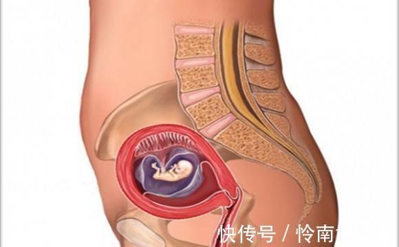 畸形|胎儿畸形的危险到何时算安全?孕期过了这些月份,孕妇可以放心了
