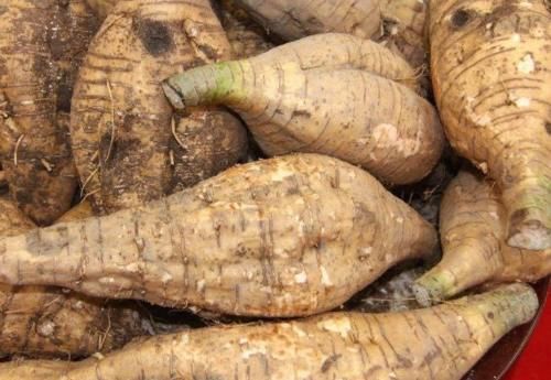 乳腺增生|被称为天然的“叶酸”，可预防乳腺增生，女性常吃有益健康！