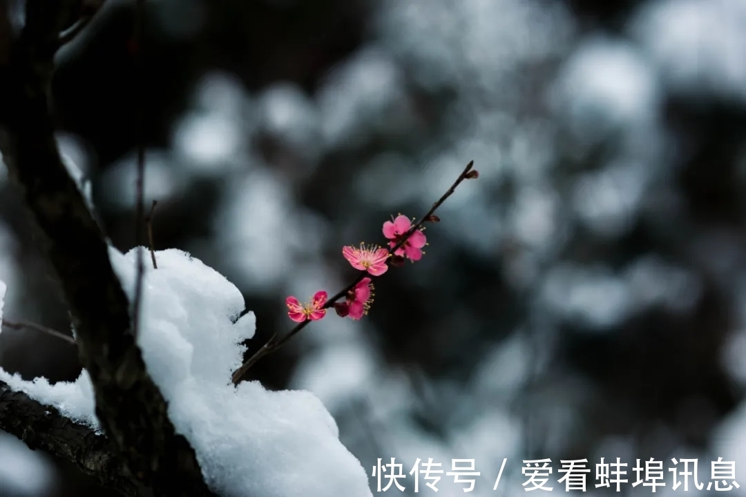 磨衲赞#16个冬天的成语,原来都出自诗词,美极了