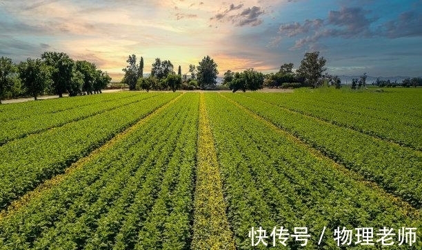 双子座|往后2天，雨过天晴，过往不计，情深难弃，情深难舍，余生幸福