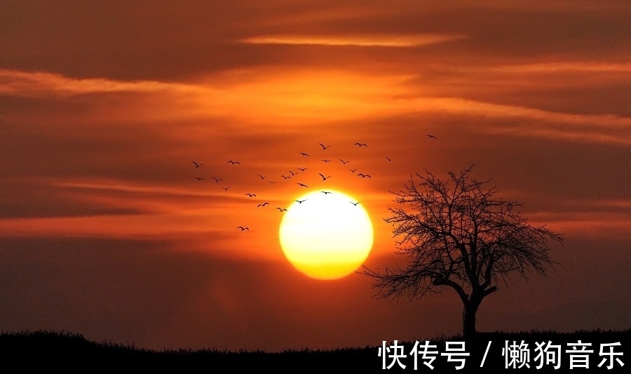 失律@这些很著名的诗都失律了,还能算格律诗吗?谈谈格律诗的判定标准