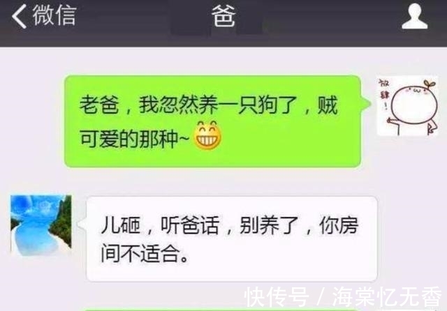 生活费|大学生花样要生活费,父母看完哭笑不得,网友:涨知识了