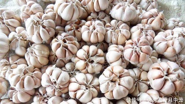 买大蒜,紫色还是白色蒜农不要买炒蒜,膨胀剂太多了