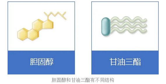 总胆固醇|【健哥说心脏】甘油三酯，和胆固醇是一样的吗？